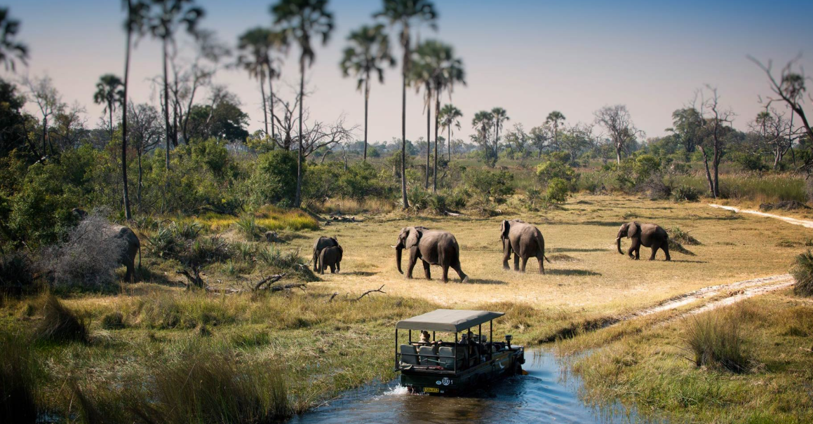 Chobe National Park, Chobe District (Kasane), Botswana